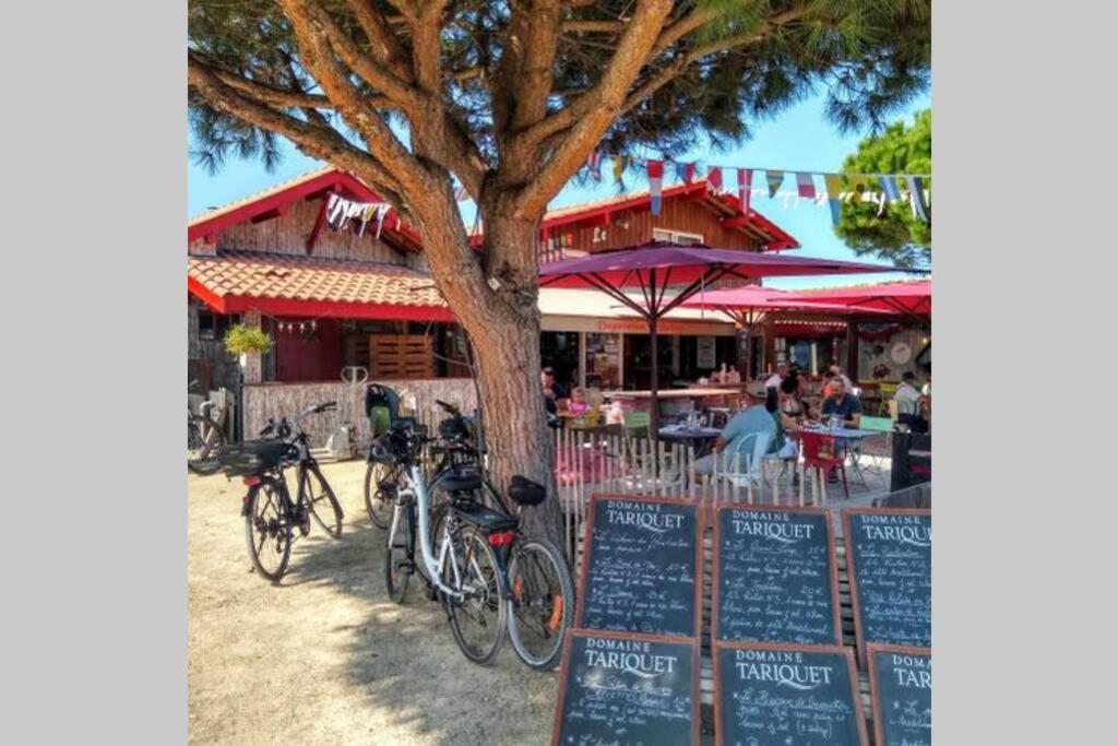 Colibri Appart' T2 Au Coeur Du Bassin D'Arcachon Гюжан-Местрас Экстерьер фото